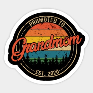Promoted to Grandmom Est 2020 Mothers Day Gift Sticker